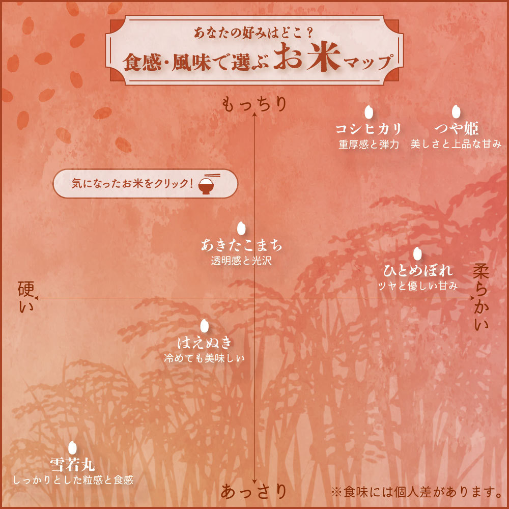 令和7年産 はえぬき 10kg 5kg×2袋 お米 白米 山形県産 送料無料