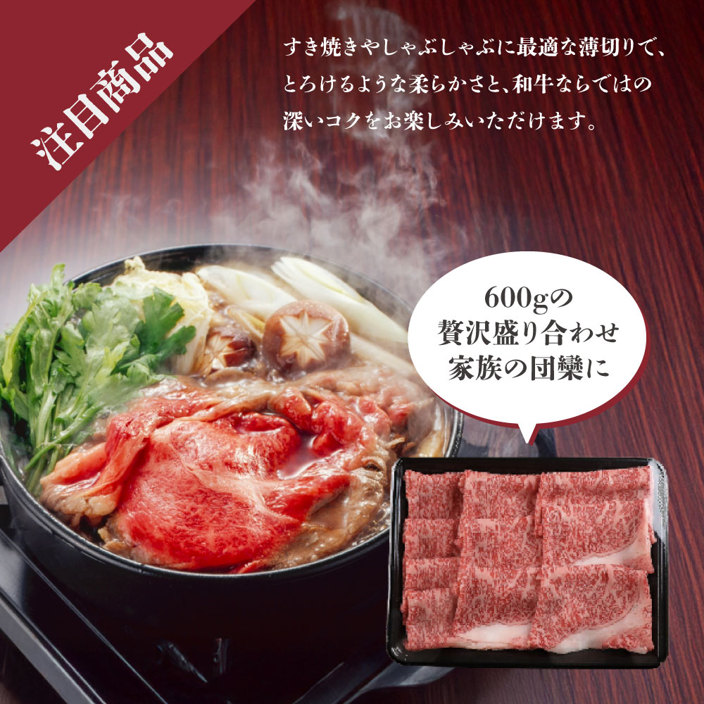 令和7年産 はえぬき 10kg 5kg×2袋 お米 白米 山形県産 送料無料