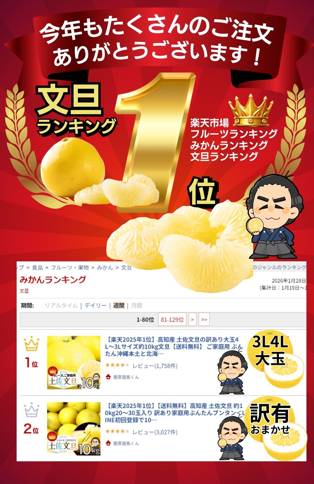 高知産 土佐文旦 約１０ｋｇ２０～３０玉入り 訳あり家庭用ぶんたんブンタン＜LINE初回登録で100円オフ＞ 沖縄本土と北海道は別途送料 全国の離島は発送不可