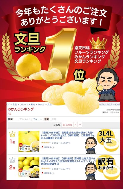 高知産 土佐文旦 約１０ｋｇ２０～３０玉入り 訳あり家庭用ぶんたんブンタン＜LINE初回登録で100円オフ＞ 沖縄本土と北海道は別途送料 全国の離島は発送不可