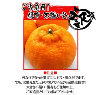 3営業日以内速攻出荷♪愛媛産 特に訳ありデコみかん 10kg(+約0.5kg多め)不揃い 傷 汚れ有 不知火・デコポンの規格外品 愛媛県産 家庭用 フルーツ 果物 くだもの 果実 食品 みかん 箱買い お取り寄せグルメ 蜜柑 柑橘類 かんきつ 産地直送