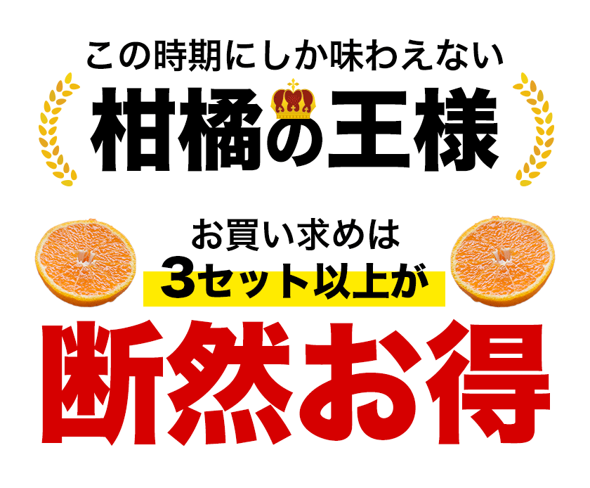 おまけ＋１００％増量 熊本県産 デコみかん 訳あり 1.5kg 送料無料 最短翌日出荷 2セット以上購入でおまけ増量 デコポン と同品種 不知火 みかん ミカン 熊本 柑橘 くまもと風土 買い回り 《1-5営業日以内に発送予定》