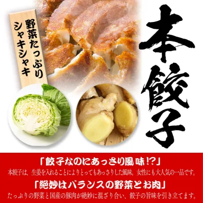 【4年連続中華総菜・点心部門グルメ大賞受賞！】餃子 送料無料 【5000万個完売】黒餃子48個本餃子48個！約96個分約16人前！