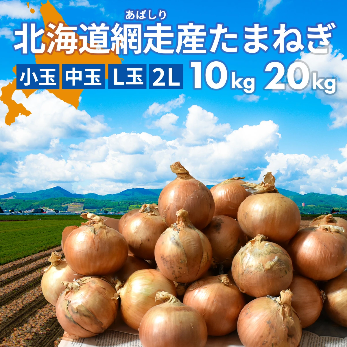北海道 網走産 玉葱 10kg 20kg たまねぎ タマネギ カレー シチュー バーベキューやギフトに！ 国産 北海道産 網走 玉葱 玉ねぎ 産地直送 大容量 10キロ 20キロ お得用 まとめ買い 業務用 贈り物 甘い シャキシャキ 美味しい 北海道