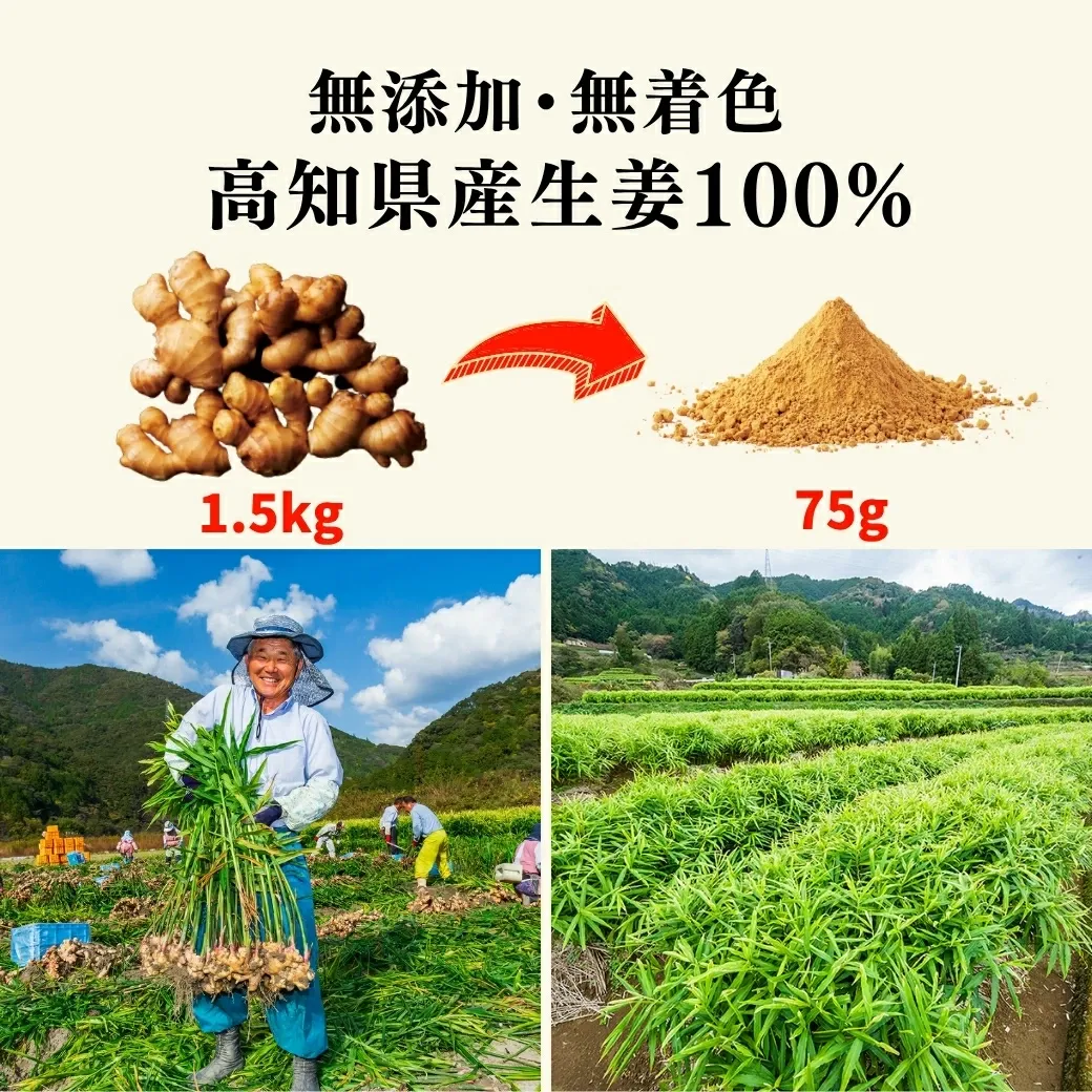 ＼高知県産 無添加 濃さ450倍／ クラフトジンジャー パウダー 75g ジンジャーパウダー 生姜パウダー 国産 生姜 乾燥生姜 粉末 生姜湯 しょうがパウダー ショウガパウダー 温活 メール便