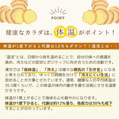 ＼高知県産 無添加 濃さ450倍／ クラフトジンジャー パウダー 75g ジンジャーパウダー 生姜パウダー 国産 生姜 乾燥生姜 粉末 生姜湯 しょうがパウダー ショウガパウダー 温活 メール便