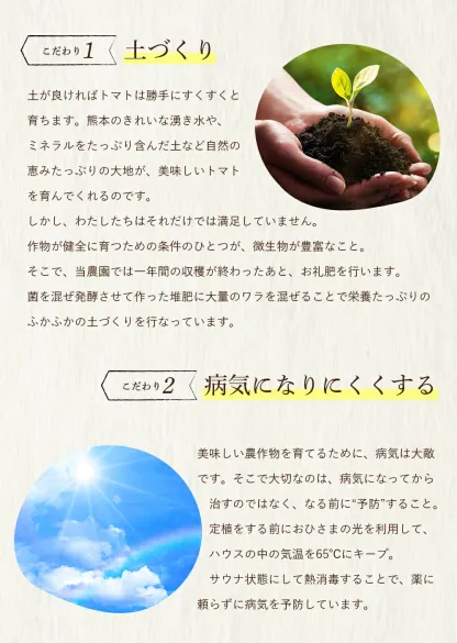 ＼ 半額 数量限定 ／ とまと ミニトマト 【特別栽培農産物】ソムリエミニ トマト ダイヤ 800g トマトジュース プチトマト プレゼント ギフト ダイエット スープ ふるさと 内祝い フルーツ 野菜 甘い 人気 キッチン 秋 冬 冷凍 熊本 ポスト投函