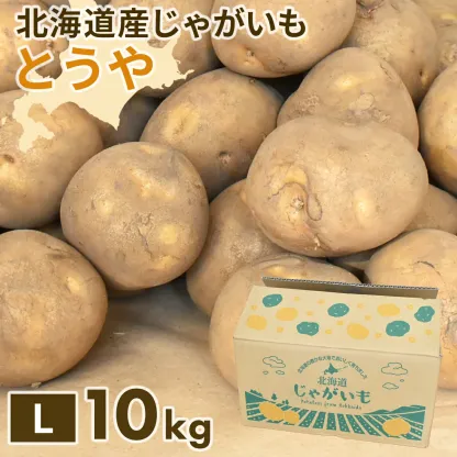 北海道産 じゃがいも 黄爵(とうや) 10kg 黄色くなめらかな じゃが芋 野菜 シチュー カレー ジャガイモ 国産 北海道産 産地直送 大容量 お得用 徳用 大容量 まとめ買い 業務用 贈り物 ほくほく 美味しい