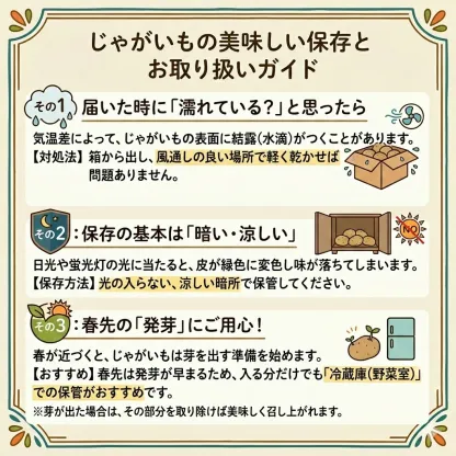 北海道産 じゃがいも 黄爵(とうや) 10kg 黄色くなめらかな じゃが芋 野菜 シチュー カレー ジャガイモ 国産 北海道産 産地直送 大容量 お得用 徳用 大容量 まとめ買い 業務用 贈り物 ほくほく 美味しい