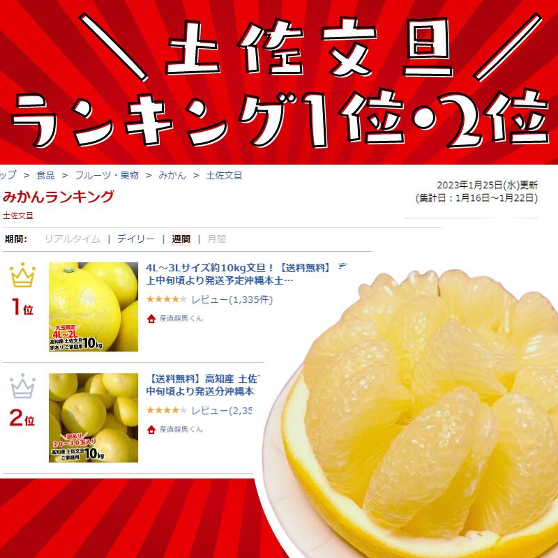 高知産 土佐文旦 約１０ｋｇ２０～３０玉入り 訳あり家庭用ぶんたんブンタン＜LINE初回登録で100円オフ＞ 沖縄本土と北海道は別途送料 全国の離島は発送不可