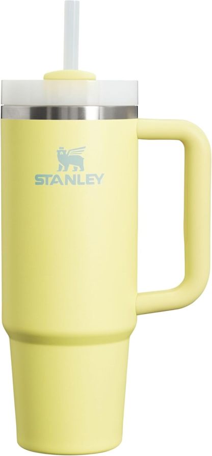 STANLEY Quencher H2.0 Tumbler with Handle and Straw 30 oz | Flowstate 3-Position Lid | Cup Holder Compatible for Travel | Insulated Stainless Steel Cup | BPA-Free | Nectarine
