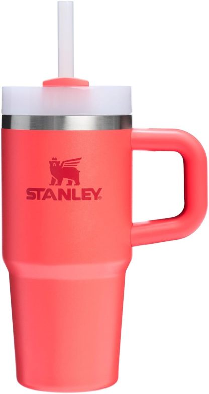 STANLEY Quencher H2.0 Tumbler with Handle and Straw 30 oz | Flowstate 3-Position Lid | Cup Holder Compatible for Travel | Insulated Stainless Steel Cup | BPA-Free | Nectarine