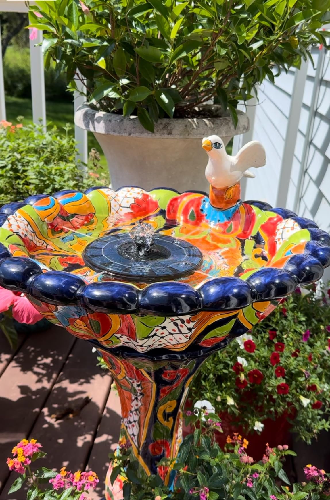 Relaxing to watch and listen to with enough light