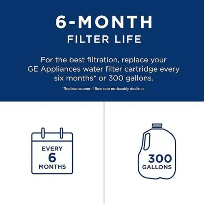 GE RPWFE Refrigerator Water Filter