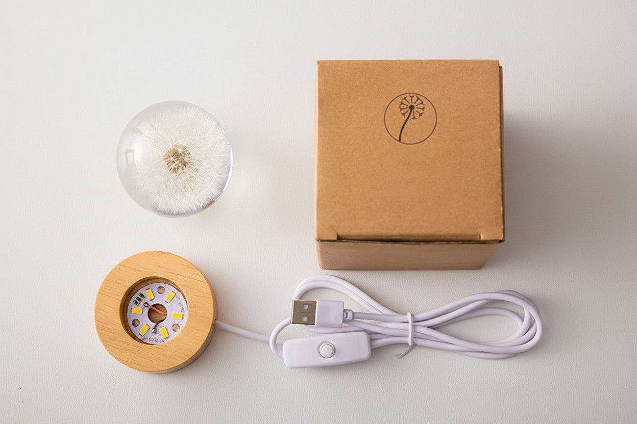 Noogni™ Crystal Ball Projection Music Box - Noogni