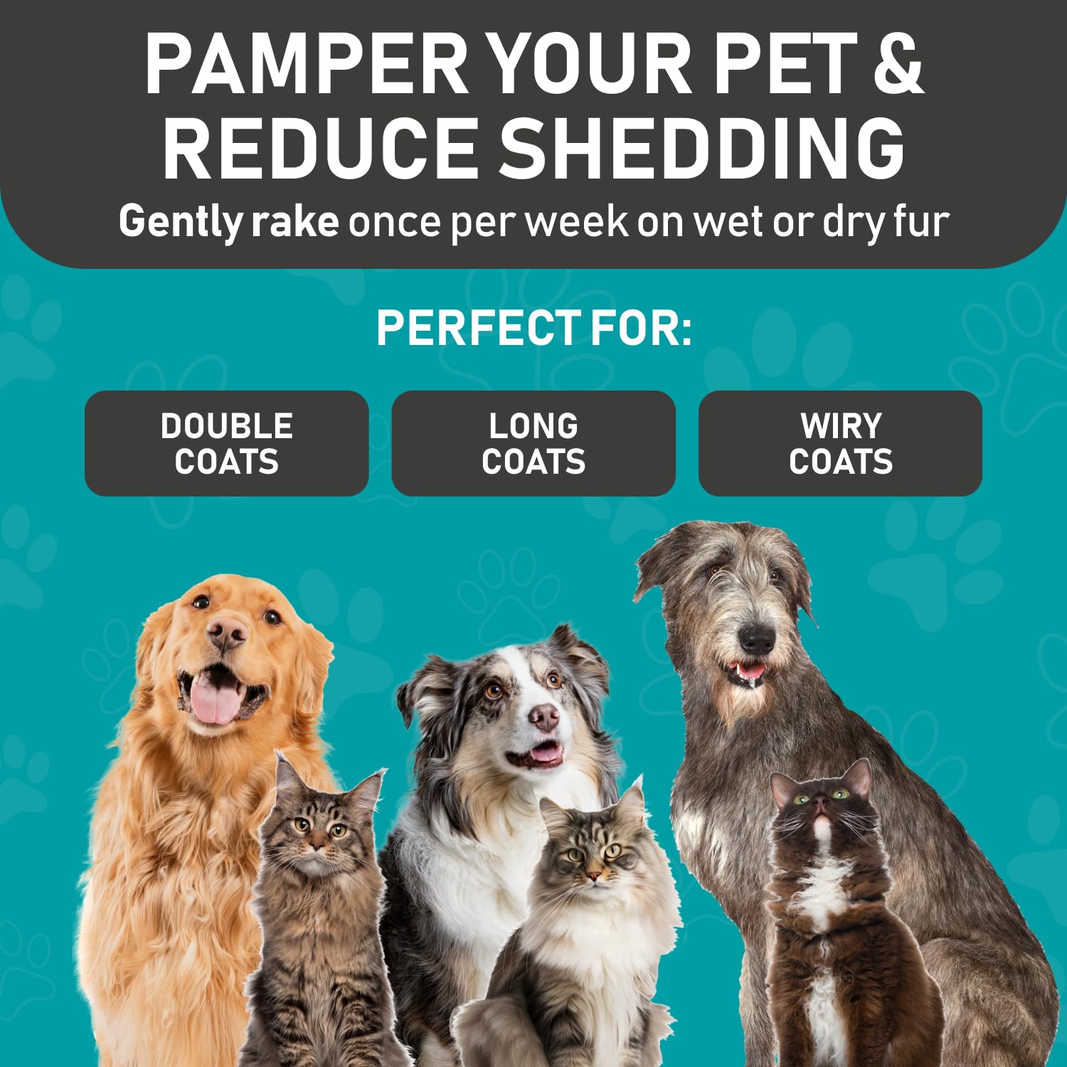Pet Grooming Rake