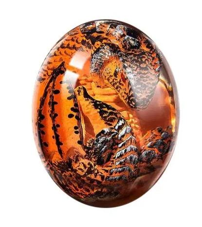 ⚡️Last Day 50% OFF -  Lava Dragon Egg With Luminous Base
