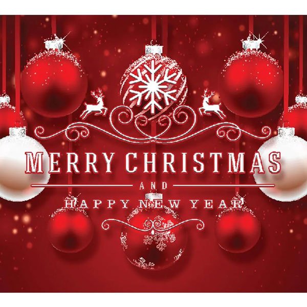 🎁Snow garage door banner ornament