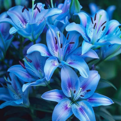 🎁 Задължителни за засаждане през 2026 ☀️ Редки луковици на лилия 🌸
