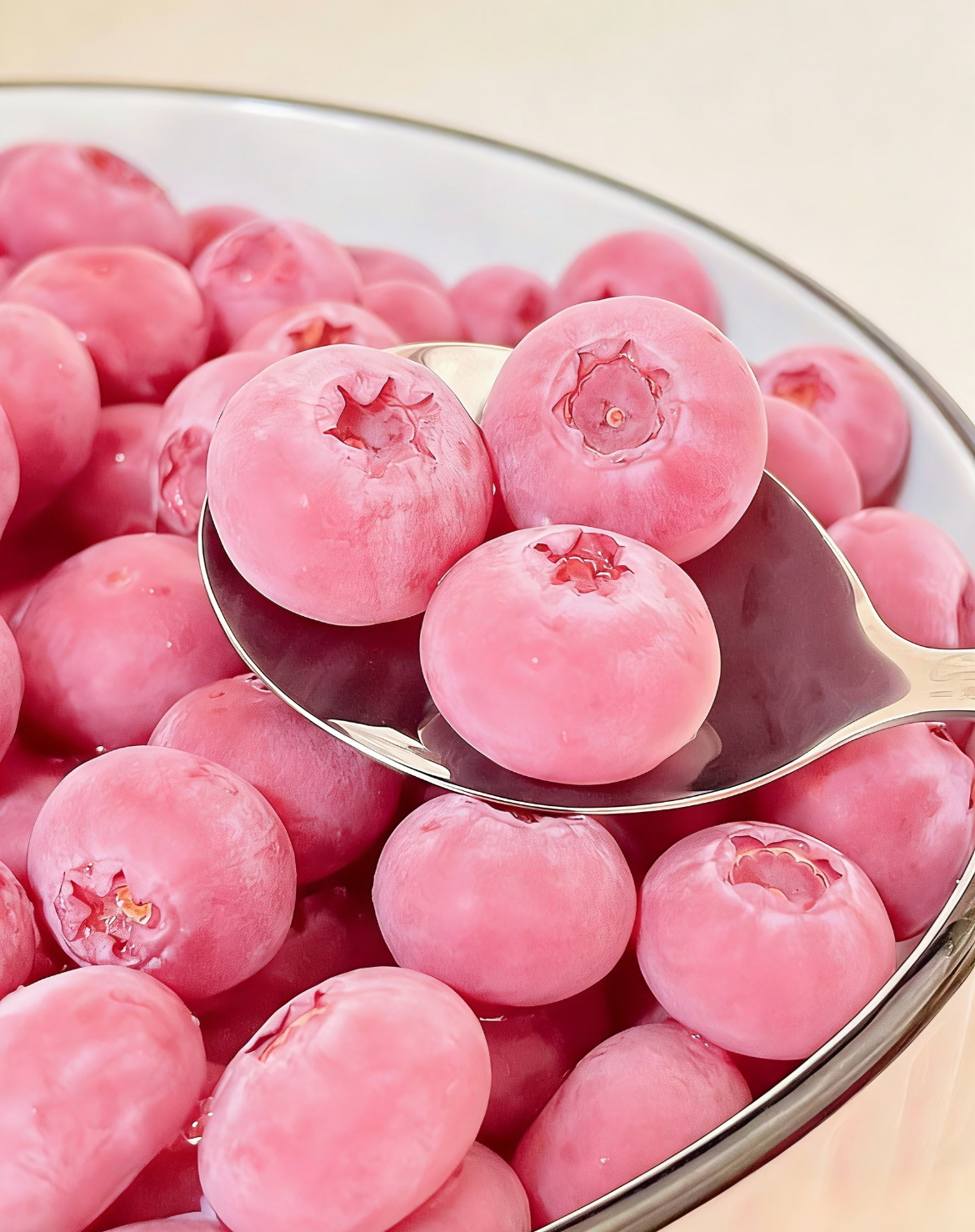 🔥PROMOTION EXCEPTIONNELLE : 50 % DE RÉDUCTION🔥Graines de myrtilles Pink Bliss – Double douceur