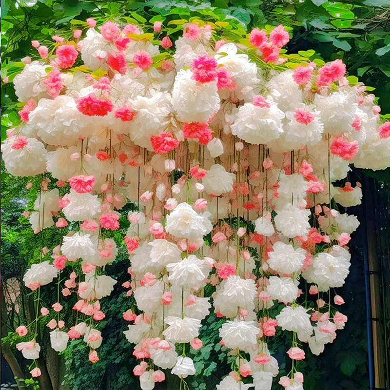 🌸✨Плачеща бегония – Каскадна цветна красота  🌸✨