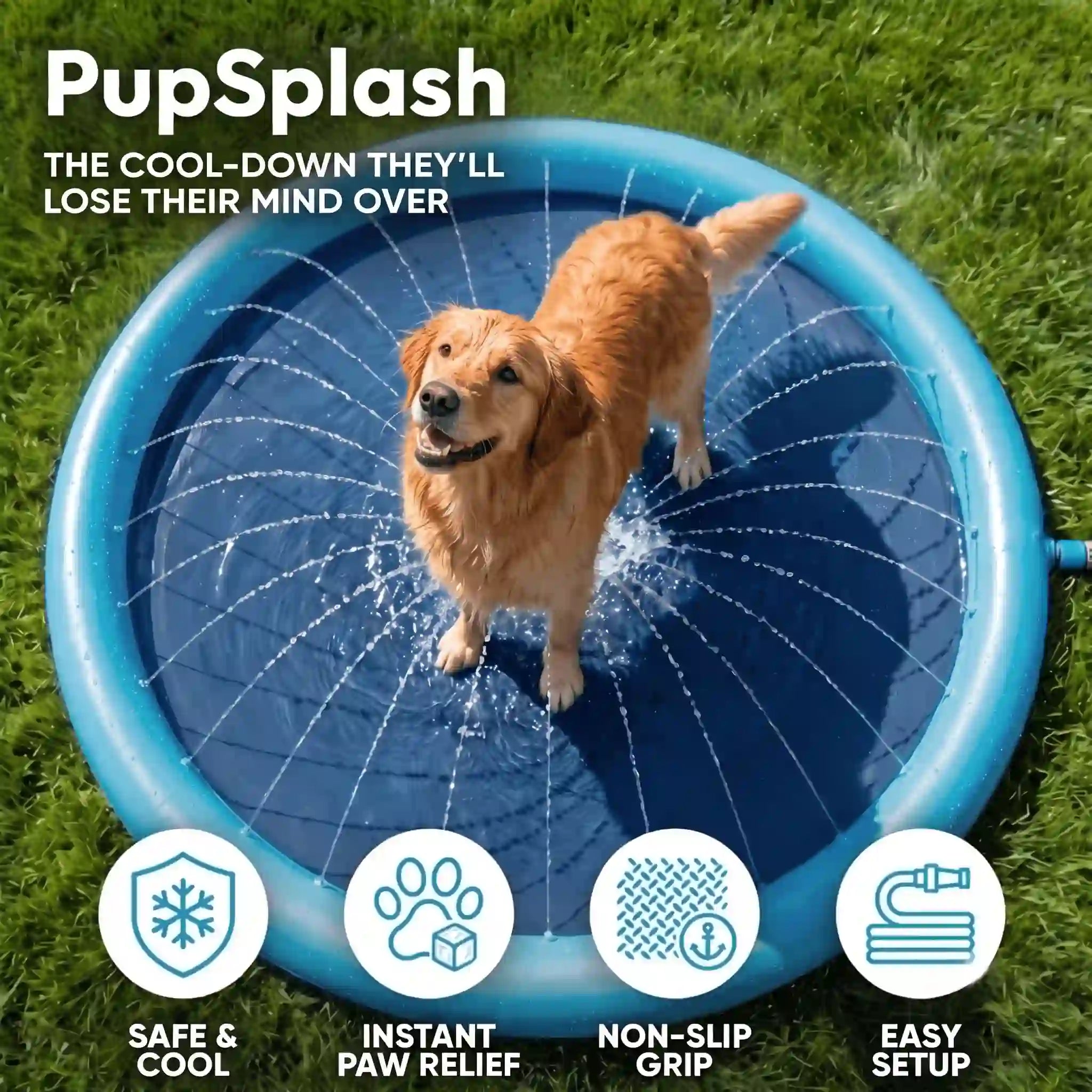 Claw-Proof Splash Pad
