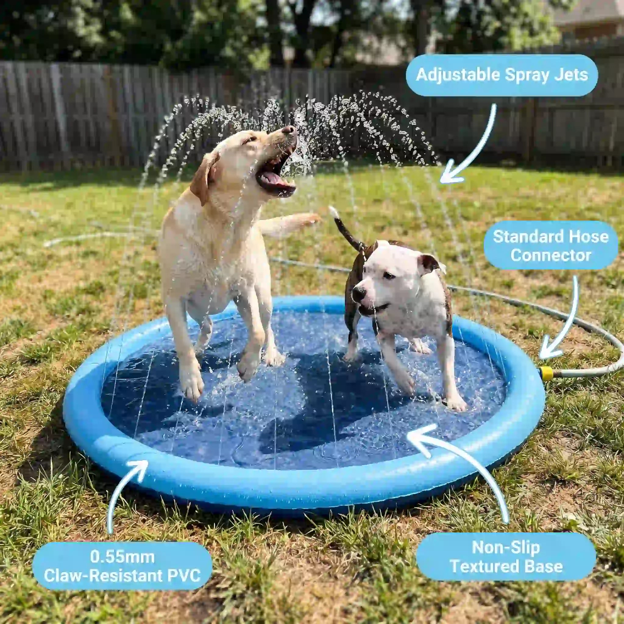 Claw-Proof Splash Pad