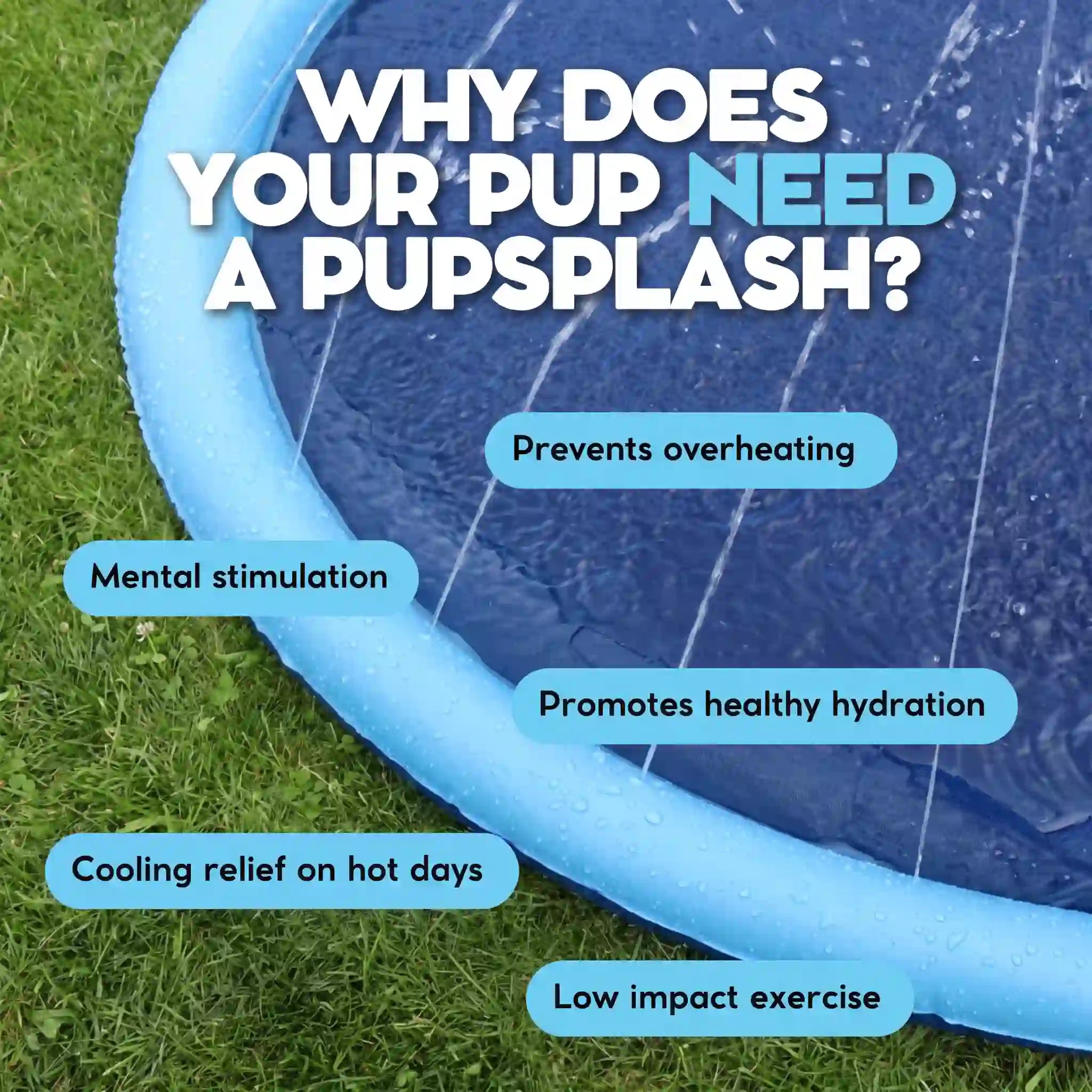 Claw-Proof Splash Pad