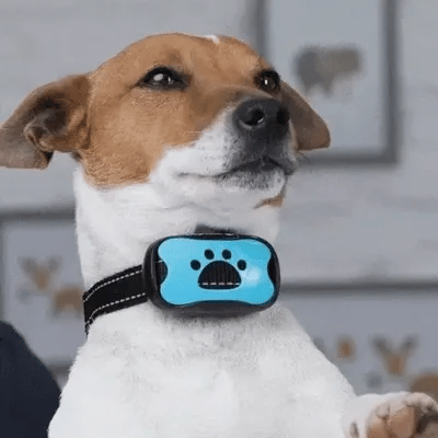 Anti-Bark Dog Collar from Gfouk US