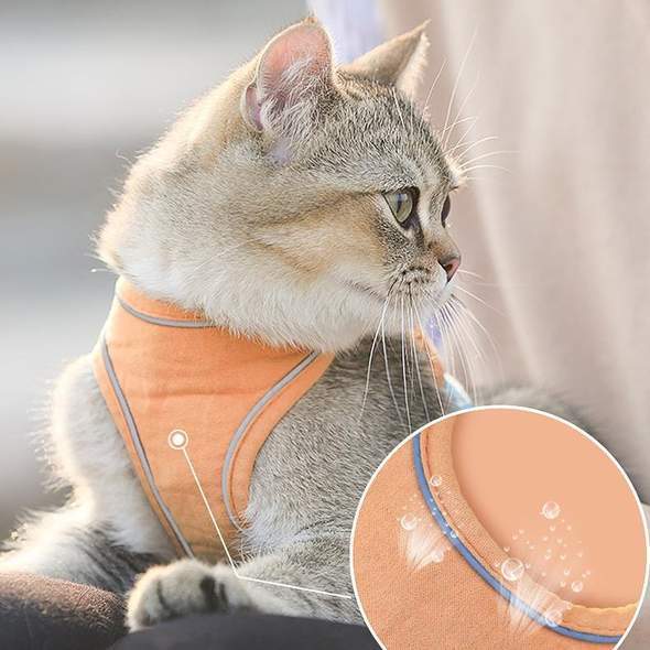 Escape-Proof Cat Harness And Leash For Walking