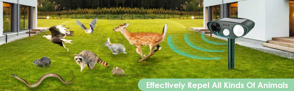 Ultrasonic Animal Repellent