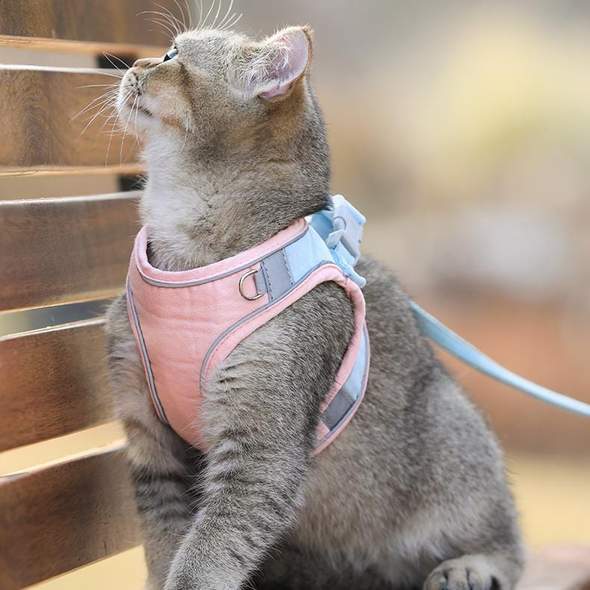 Escape-Proof Cat Harness And Leash For Walking