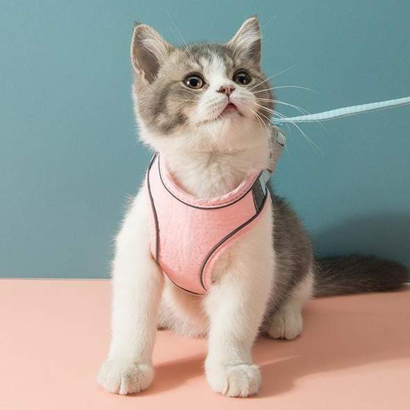 Escape-Proof Cat Harness And Leash For Walking