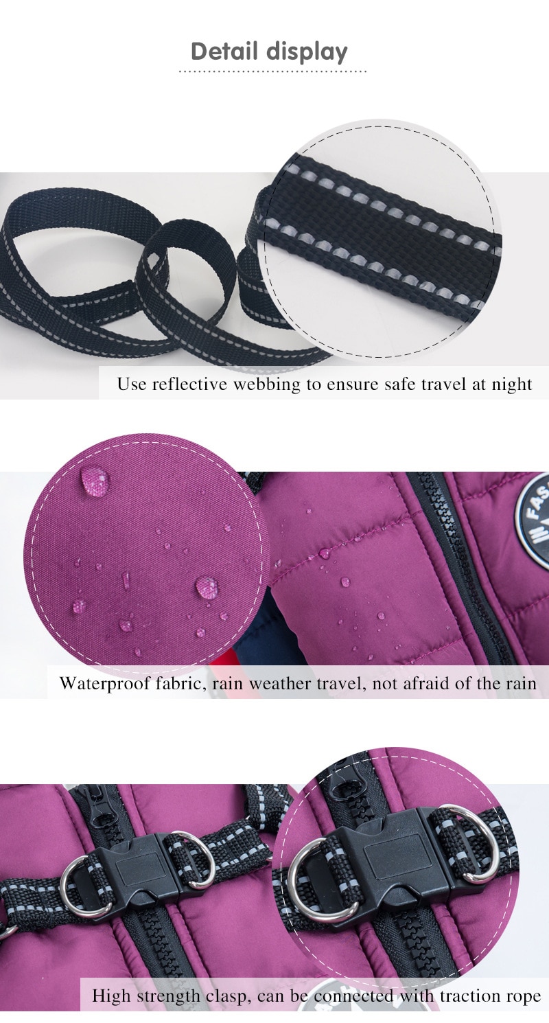 19050755559_926934974