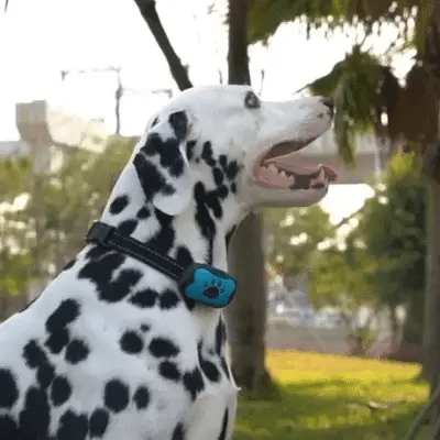 Stop Dog Barking – Gfouk US Collar