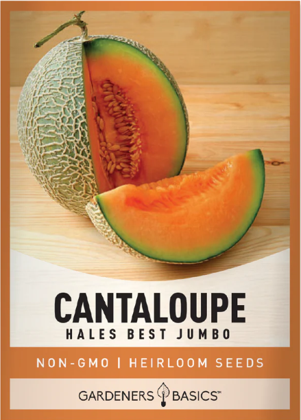 Hales Best Jumbo Cantaloupe Seeds