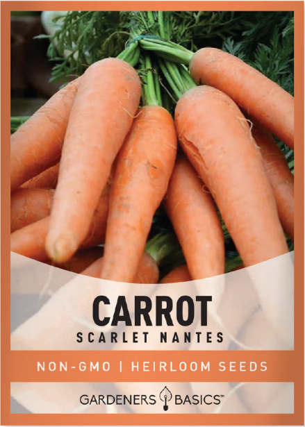 Scarlet Nantes Carrot Seeds