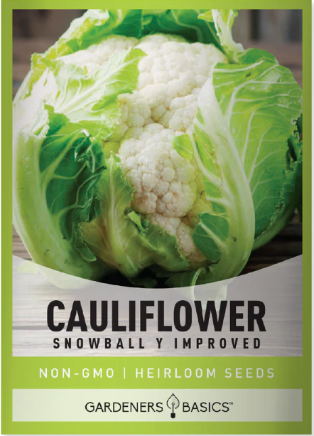 Snowball Y Improved Cauliflower Seeds