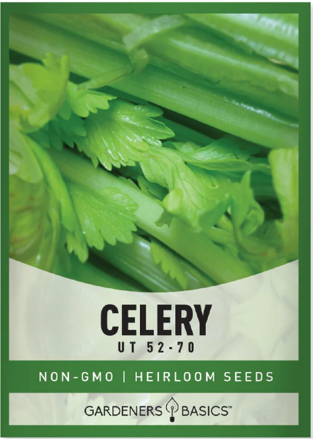 Utah 52-70 Celery Seeds