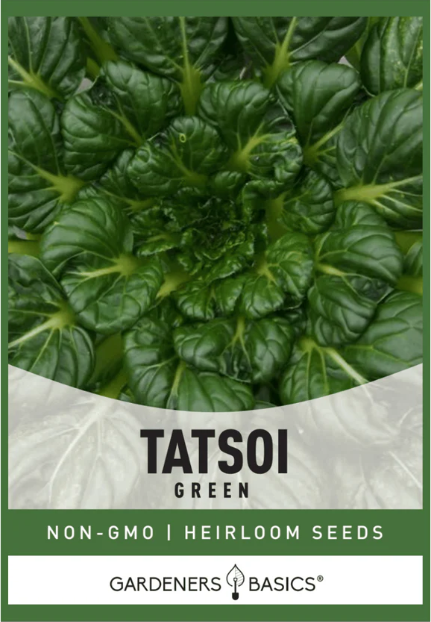 Tatsoi Seeds