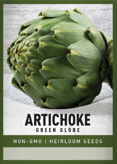 Green Globe Artichoke Seeds