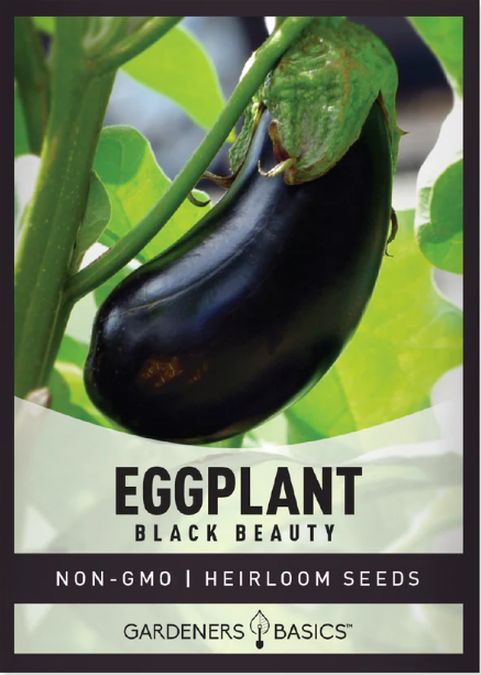 Black Beauty Eggplant Seeds