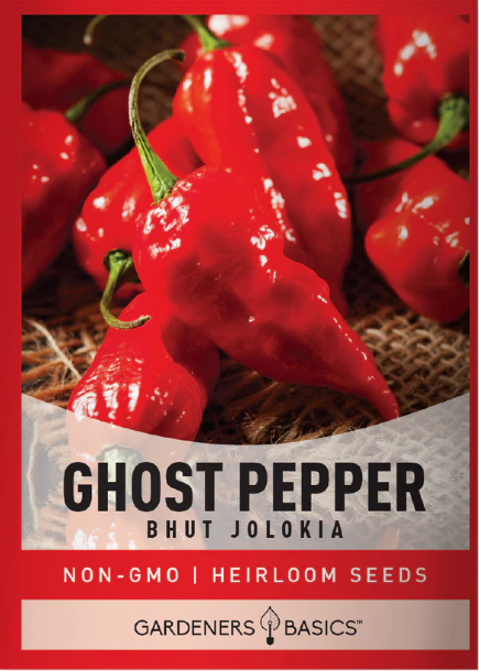 Ghost Pepper Seeds - Bhut Jolokia