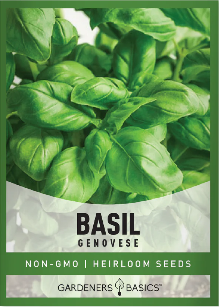 Genovese Basil Seeds