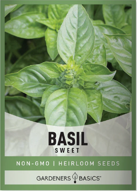 Sweet Basil Seeds