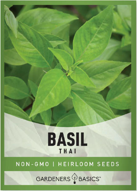 Thai Basil Seeds