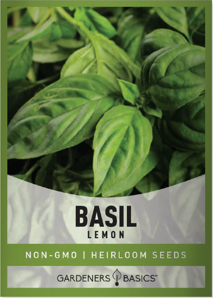 Lemon Basil Seeds
