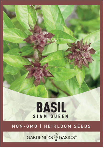 Siam Queen Basil Seeds