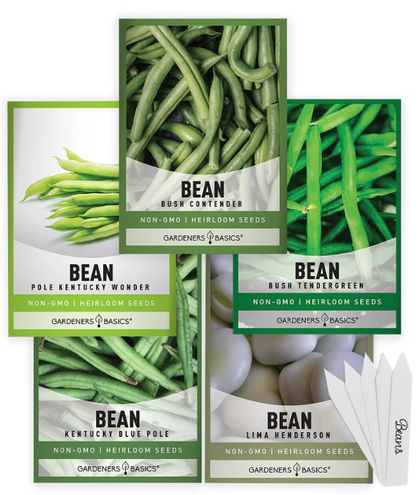 Bean Seeds For Planting | 5 Variety Pack