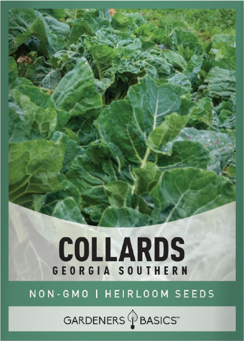 Georgia Southern Collard Seeds